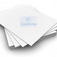 Синтетическая  бумага CSP 250 мкн M /лист 700*1000 (уп. 100л)